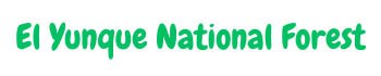 El Yunque National Forest Website Logo