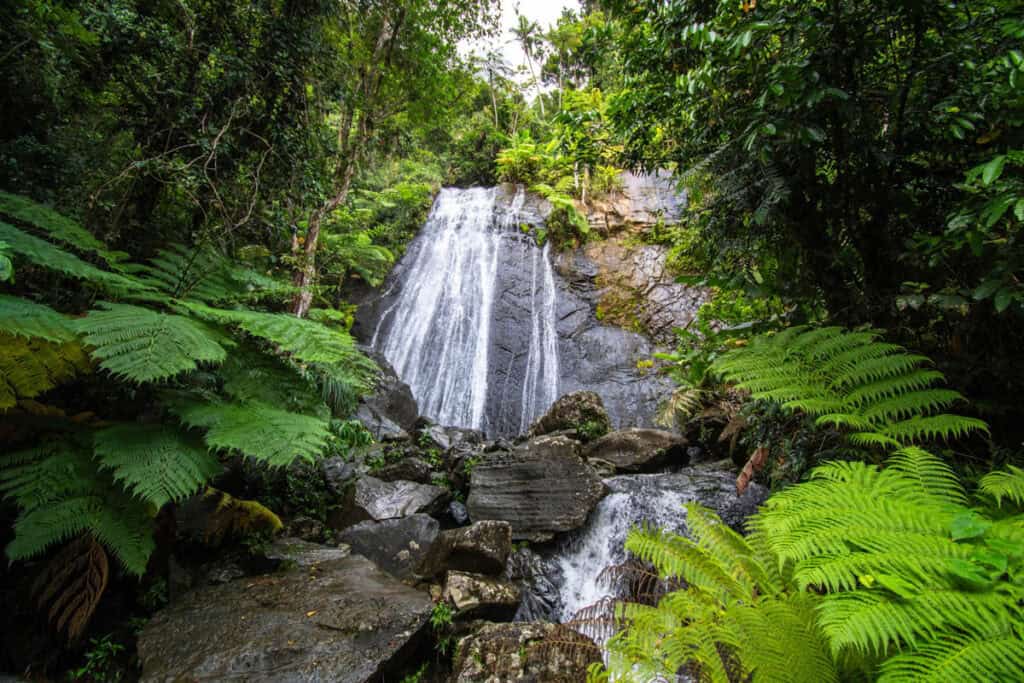 La Coca Falls El Yunque National Forest Puerto Rico